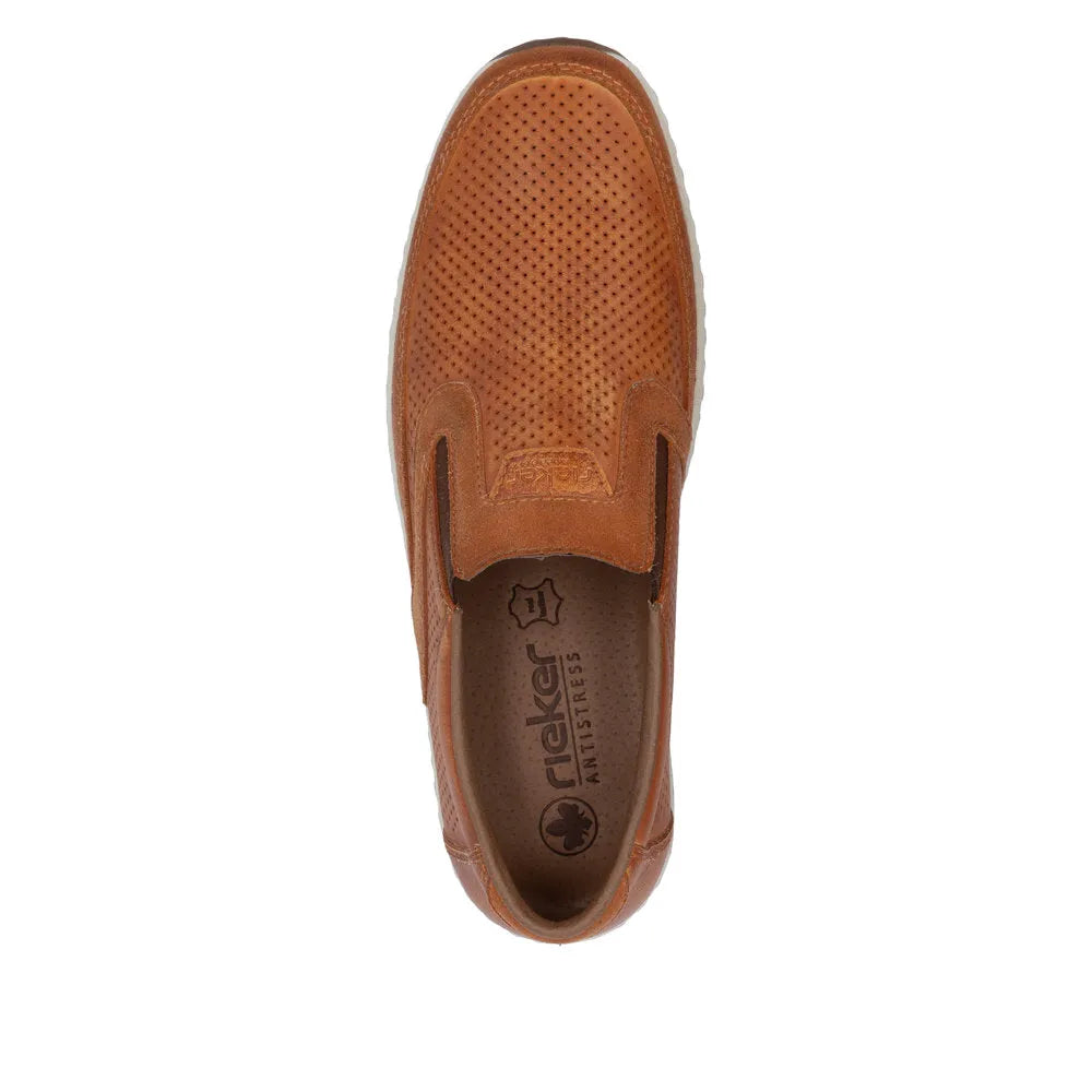 Brown/Brown/Brown