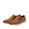 Brown/Brown/Brown