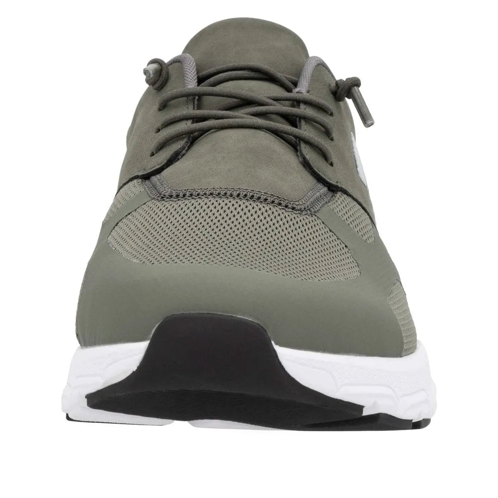 Olive/Olive/Moor