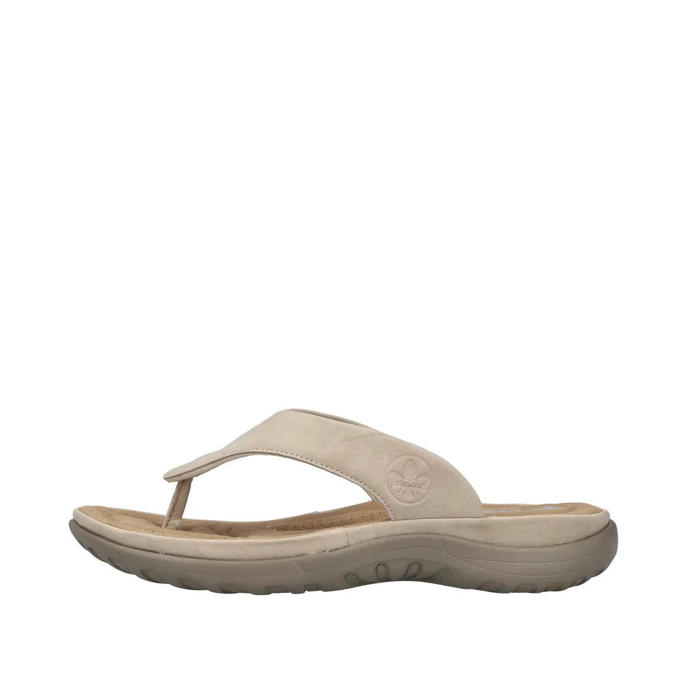 Ginger