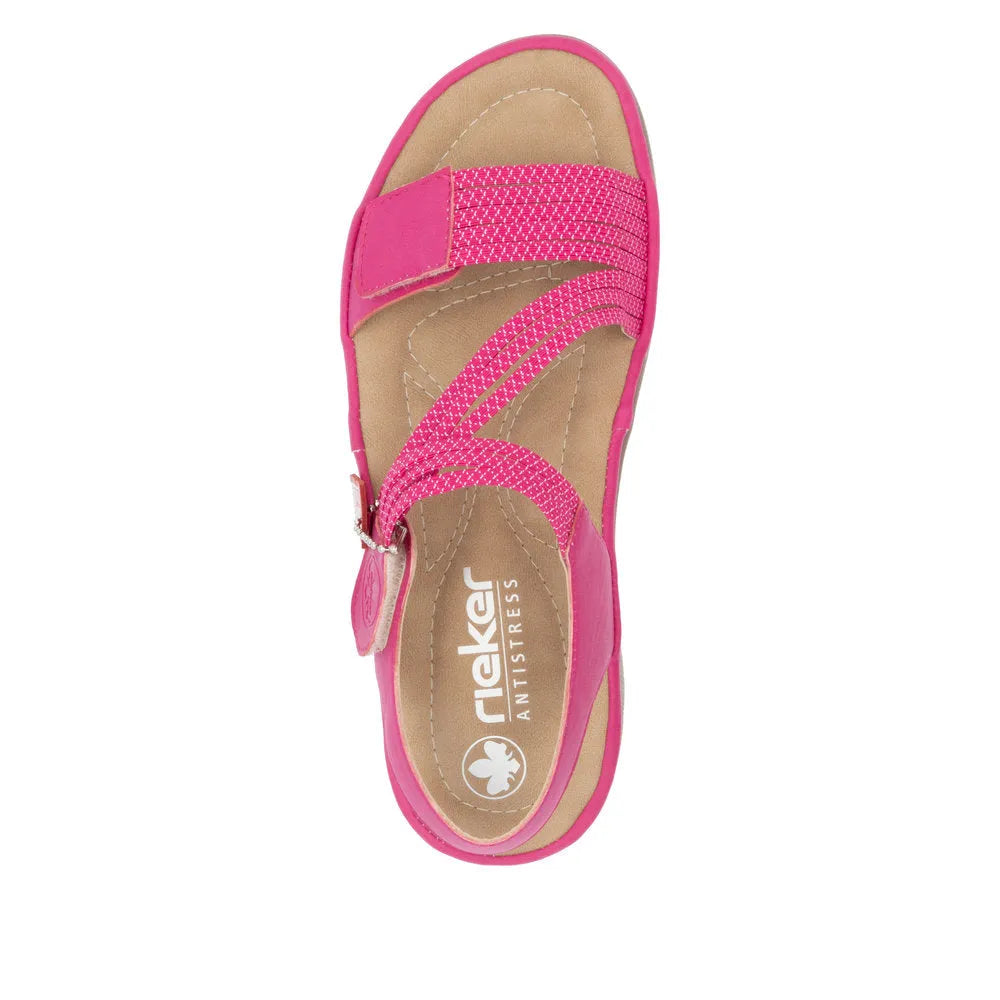 Fuchsia/Fuchsia-White