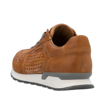 Brown/Brown/Brown