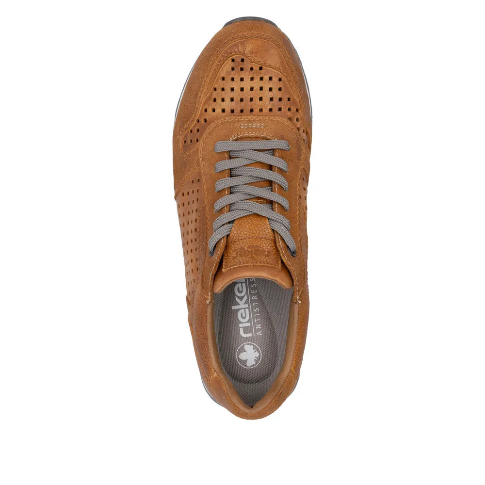 Brown/Brown/Brown