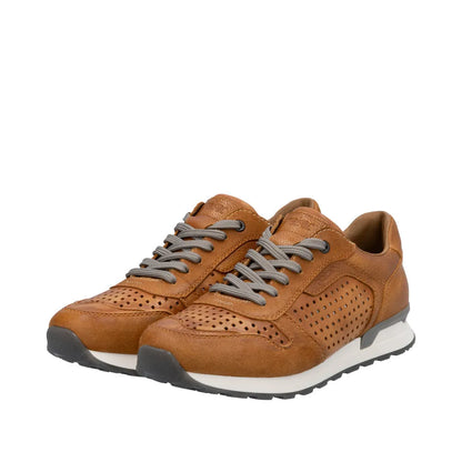 Brown/Brown/Brown