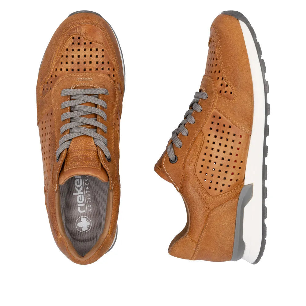 Brown/Brown/Brown