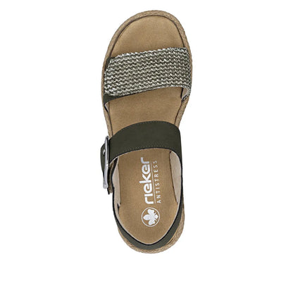 Schilf/Moor