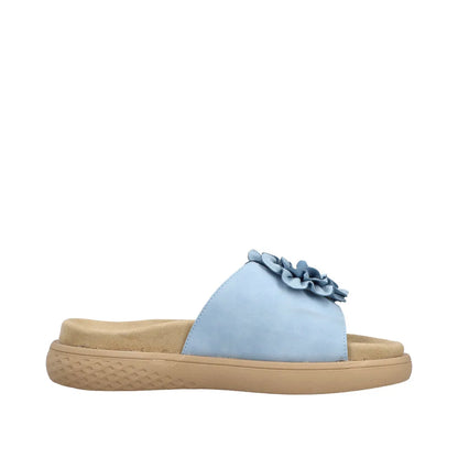 Aqua/Aqua