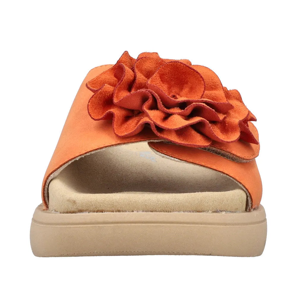 Pumpkin/Pumpkin