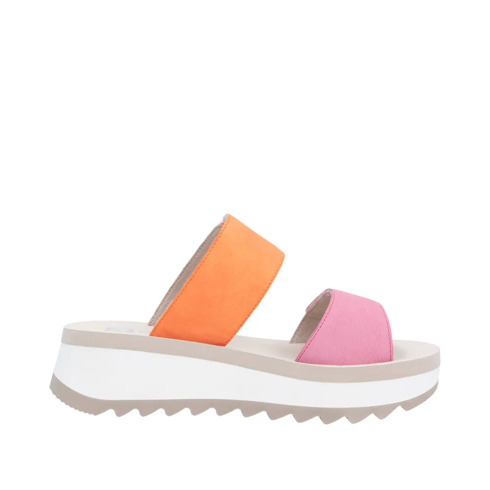 Pink/Carrot