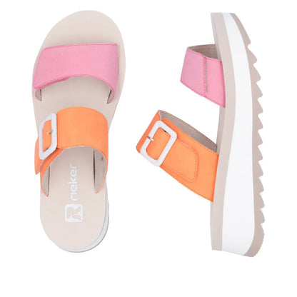 Pink/Carrot