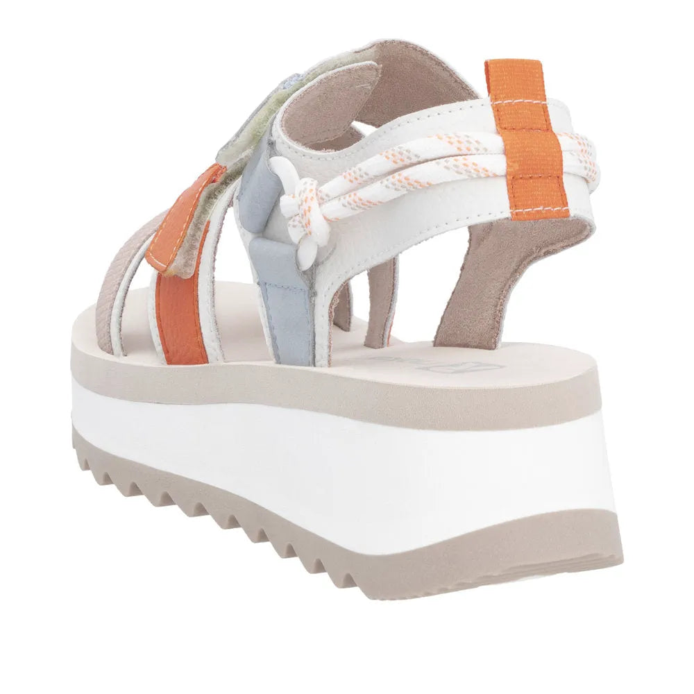 Paper/Lightrose/Salmon/Carrot/