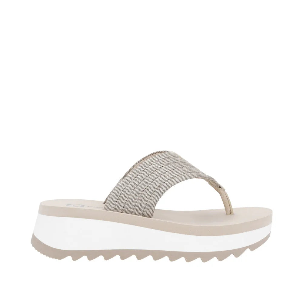 Muschel/Beige-Silber