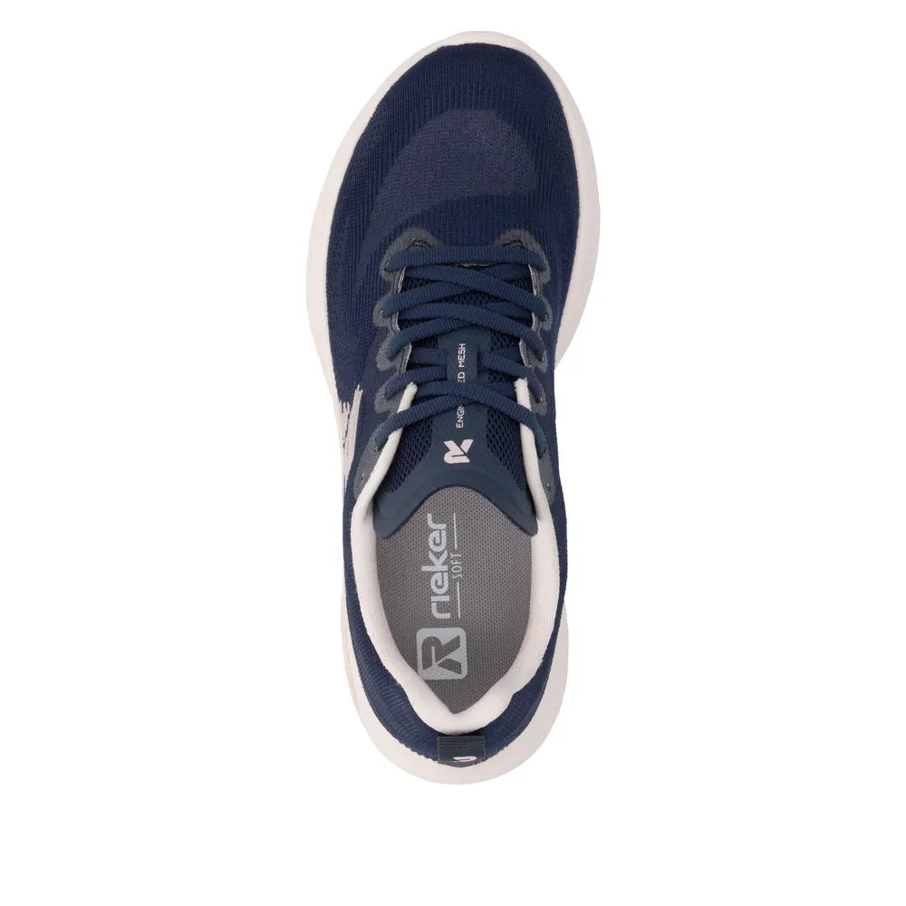 Darkblue/ pink/Transparent/Mar
